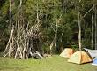 Acampamento