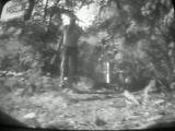 Trkeria